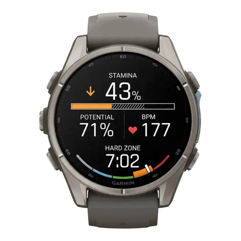 Garmin Fenix 9 43 мм AMOLED Sapphire Titanium with Pebble Gray