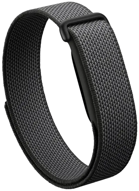 Google Fitbit Air